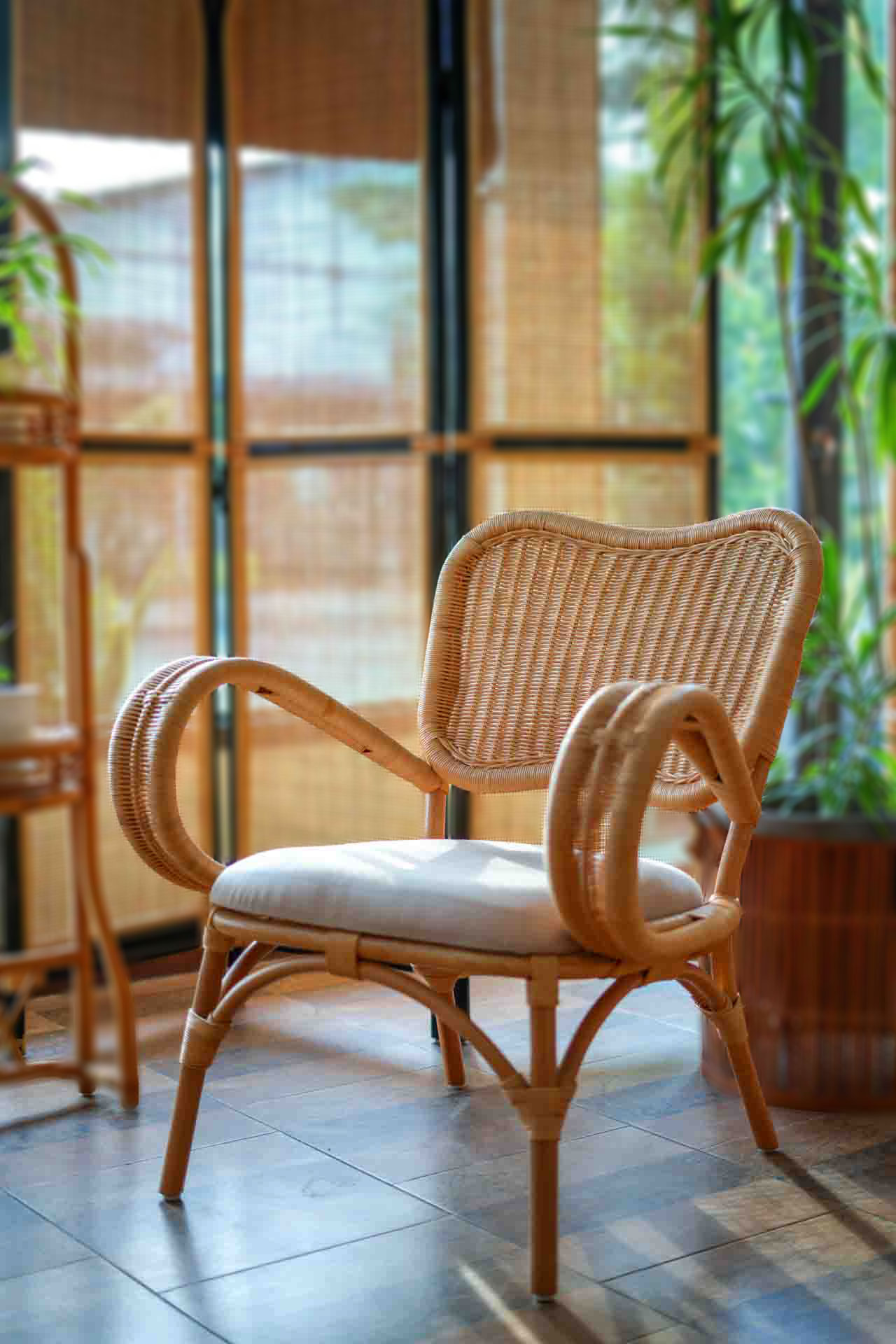 WINX CHAIR